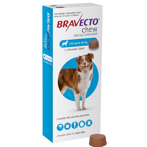 Bravecto Large Dog Flea Treatment 20 40kg Chew Buy Online From Vet