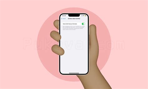 fungsi gambar  gambar  iphone  ipad pukeva