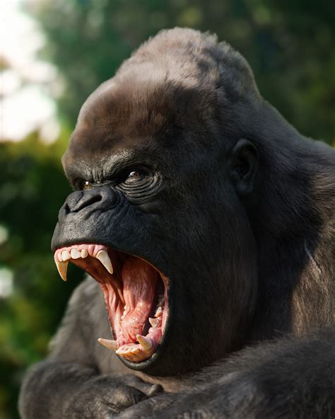 Angry Gorilla Face