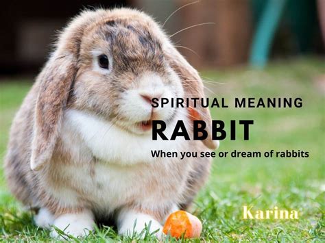 Spiritual Meaning Of Rabbits Symbolism KarinasTarot