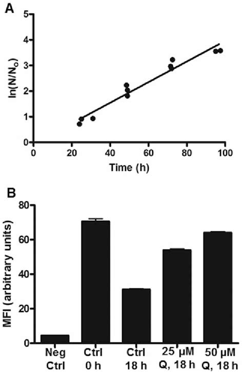 Figure From Evaluation Of Quercetin As A Potential Drug In