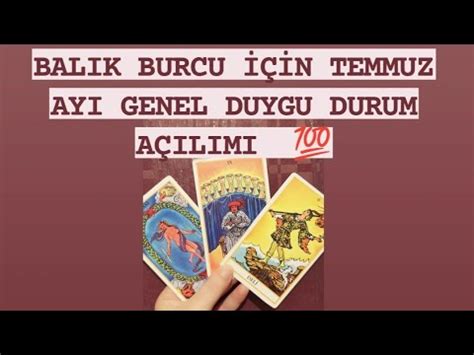 Balik Burcu N Temmuz Ayi Genel Duygudurum A Ilimi Bal Kburcu