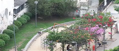 Praça Mauro Duarte - Praça Mauro Duarte | Dica da Diversão