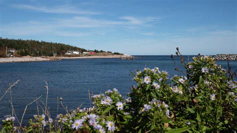 White Point Bay Photograph By Mark Llewellyn Fine Art America