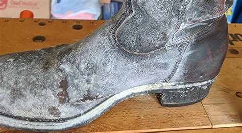 Guide How To Prevent And Remove Mould From Leather Shoes