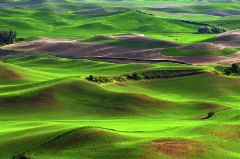 Palouse View From Steptoe Butte Photograph By Michel Hersen Fine Art