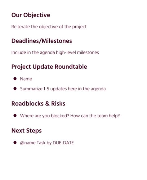 Project Check In Meeting Agenda Template