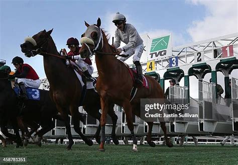 Hollywood Park Race Photos And Premium High Res Pictures Getty Images