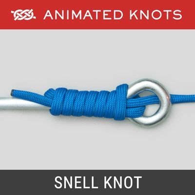 Snell Knot - Best Fishing Knots | Snell knot, Knots, Animated knots