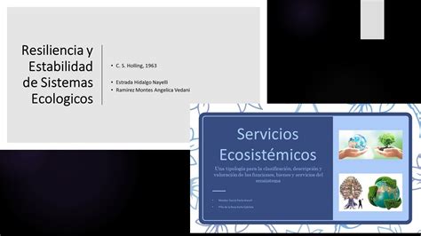 Serv Ecosist P Y Resiliencia Y Estabilidad P Clase Manejo De