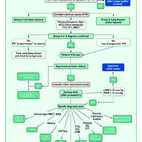 Updated Clinical Classification Of Pulmonary Hypertension Download