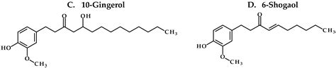 Molecules Free Full Text Absorption Metabolic Stability And