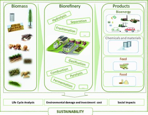 Biorefinery Concept Springerlink