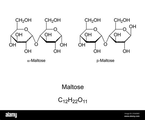 maltose sugar molecule black  white stock  images alamy