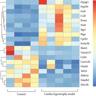 The Heat Map Plots Of The Top Genes And Venn Diagrams A The Heat