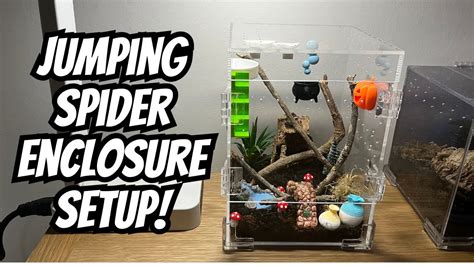 Jumping Spider Enclosure Setup Blossom S Enclosure Spooderpods