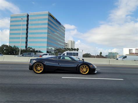 Spotted in Tampa today : r/tampa