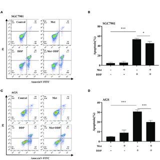 Metformin Alleviates Cisplatin Induced Apoptosis In GC Cells A B