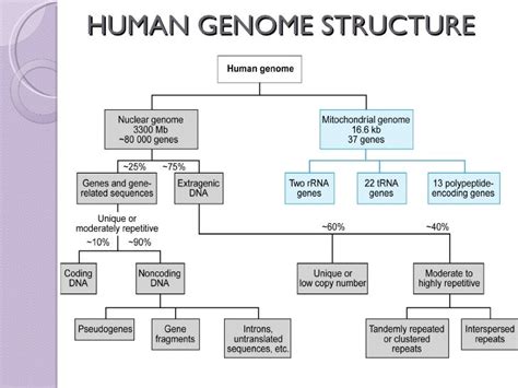 Genome origin