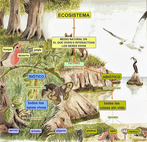 Educanat ¿qué Es Un Ecosistema