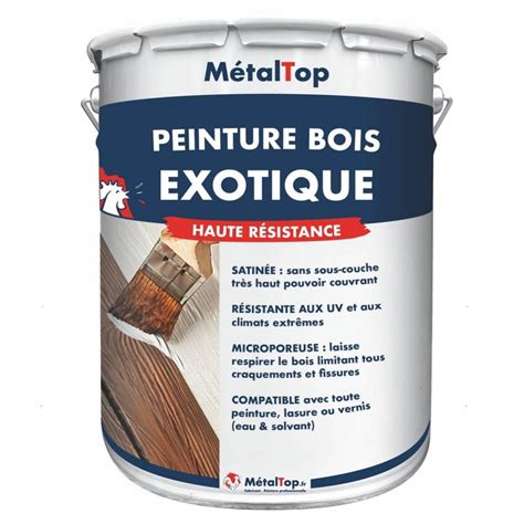 Peinture Bois Exotique Metaltop Vert Sapin RAL 6009 Pot 5L