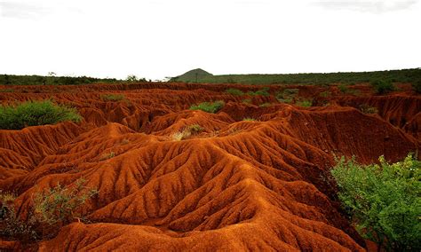 Soil Erosion and Degradation | Photos | WWF