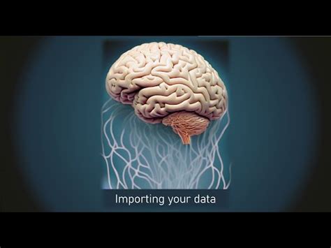 Eeglab How To Import Eeg Data Youtube