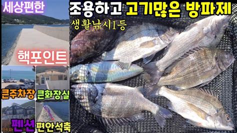 거제73방파제정복35망치감성돔최고포인트가될곳대여님기적ft감성돔전갱이쏨벵이 캠추메 참치회술먹방까지~ Youtube