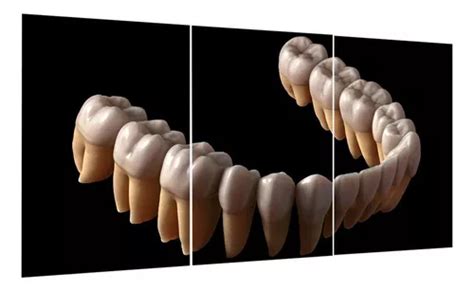 Marco de mosaico Mob744 90 x 40 cm 3 piezas dientes de odontología