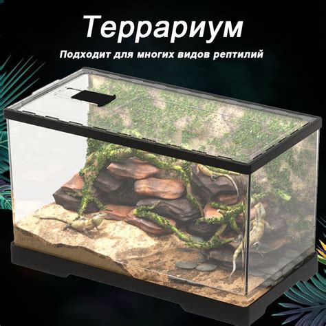 Террариум для рептилий , улиток , паука купить на OZON по низкой цене ...