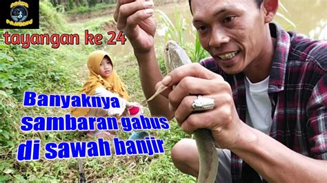 Mancing Di Sawah Yg Terkena Banjir Mancing Bareng Anak Youtube