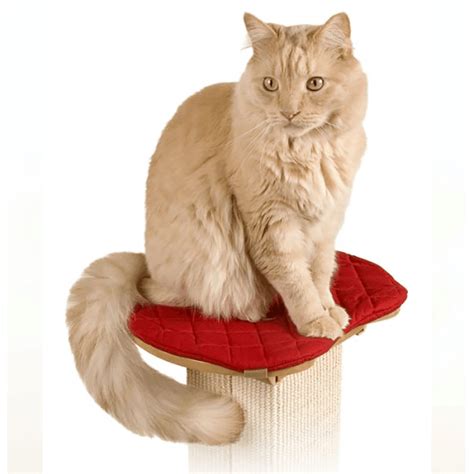 Ultimate Post Perch By Smartcat Pioneer Pet