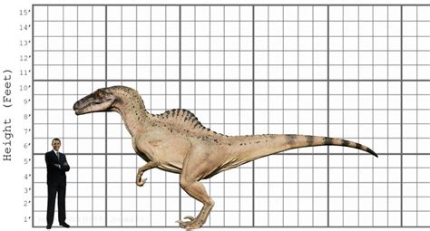 My Spinoraptor size comparison. by EthanThomas2022 on DeviantArt