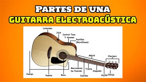 Reposici N Ala Estrecho De Bering Partes De Una Guitarra Acustica Y Sus