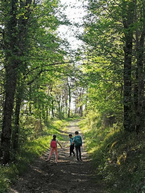 Caminhos De Caminhada Em Portugal Orienta O