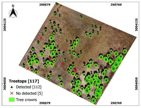 Detection And Delimitation Of Individual Tree Crowns From Canopy Height Download Scientific