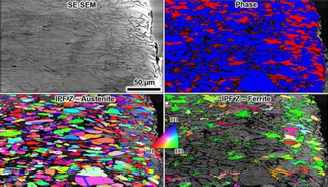 Sem Ebsd Analysis Of The Surface After Polarization To Mv In M