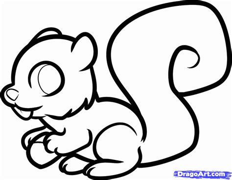 Cartoon Picture Of A Squirrel - Coloring Home