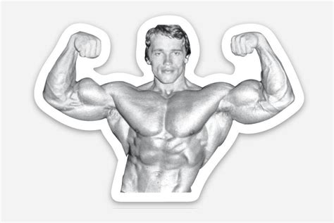 Arnold Schwarzenegger Sticker Bodybuilding Gym Sticker Etsy