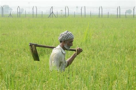 Govt Finally Releases Data 11 379 Farmers Committed Suicide In 2016