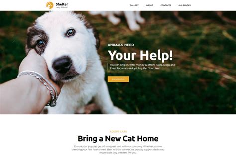 Free Template For Pet Adoption Website MotoCMS | lupon.gov.ph