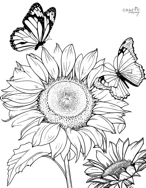 Flower Coloring Pages Sunflower - Infoupdate.org