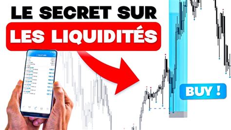 La V Rit Sur Les Liquidit S Smc Ict Trading Formation Youtube