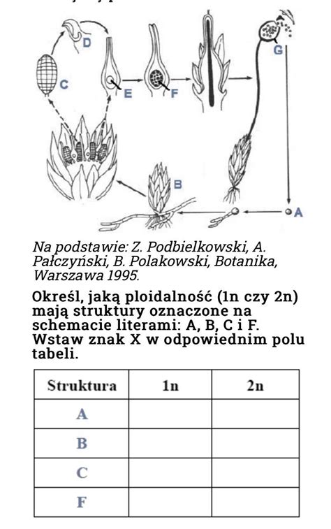 Na schemacie przedstawiono cykl rozwojowy płonnika Określ jaką