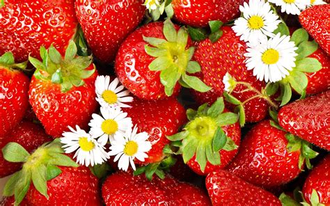 Strawberry Full Hd Wallpaper And Background Image 1920x1200 Id286208