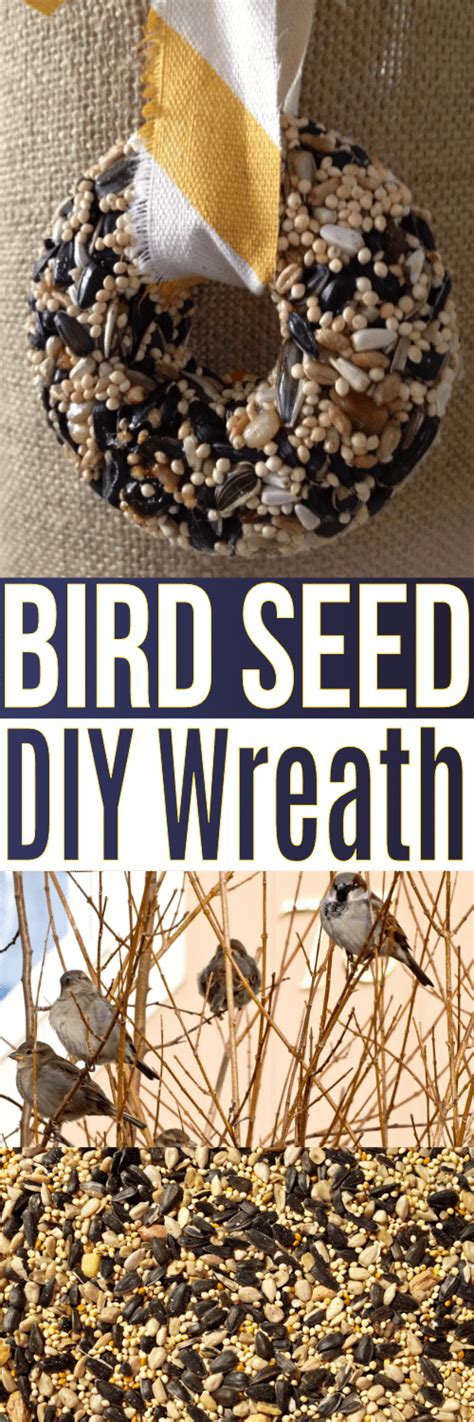 Diy Bird Seed Wreath Recipe Recipe Bird Seed Wreath Recipe Bird Seed Bird Seed Ornaments