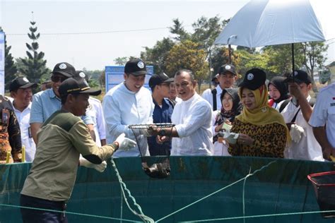 Komisi Iv Dorong Pembenahan Infrastruktur Balai Besar Perikanan Air