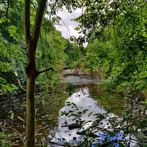 Farnley Hall Fish Pond Discover Leeds