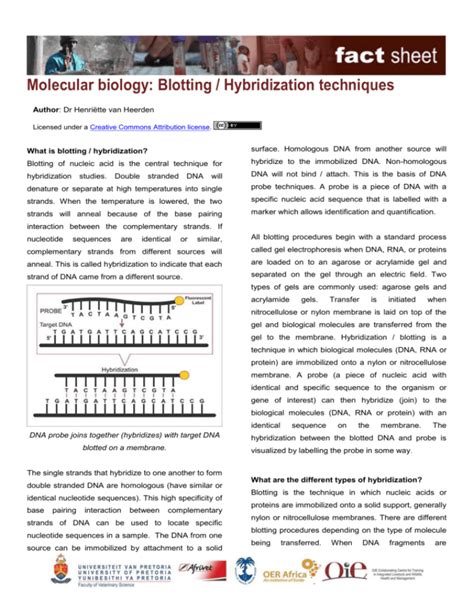 hybridization_fs