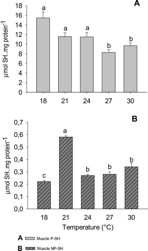 Sulfhydryl Groups P Sh A And Np Sh B In Muscle Of Pacu Piaractus